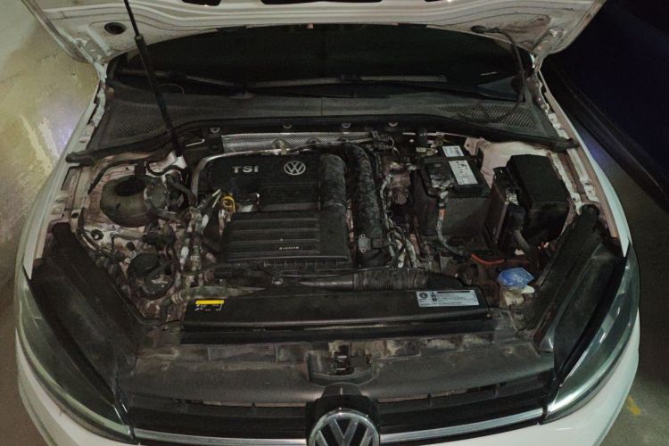Volkswagen Golf 2020 car image #18