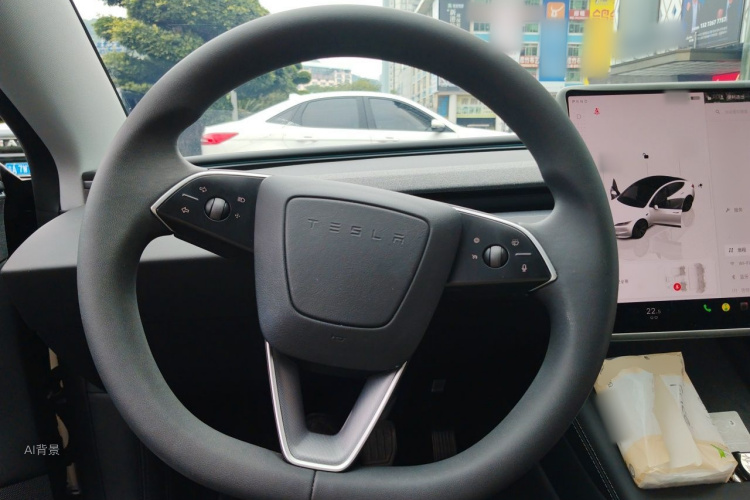 Tesla Model 3 2025 car image #12
