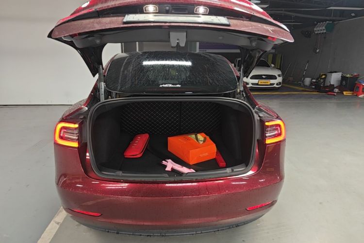 Tesla Model 3 2021 #19 Tesla Model 3 2021 car image #19