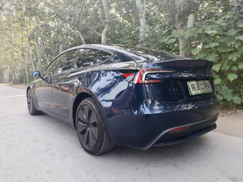 Tesla Model 3 2026 car image #6