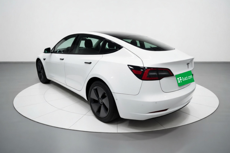 Tesla Model 3 2021 #5 Tesla Model 3 2021 car image #5