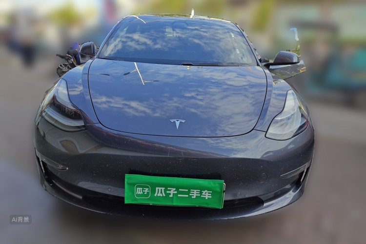 Tesla Model 3 2021 #3 Tesla Model 3 2021 car image #3