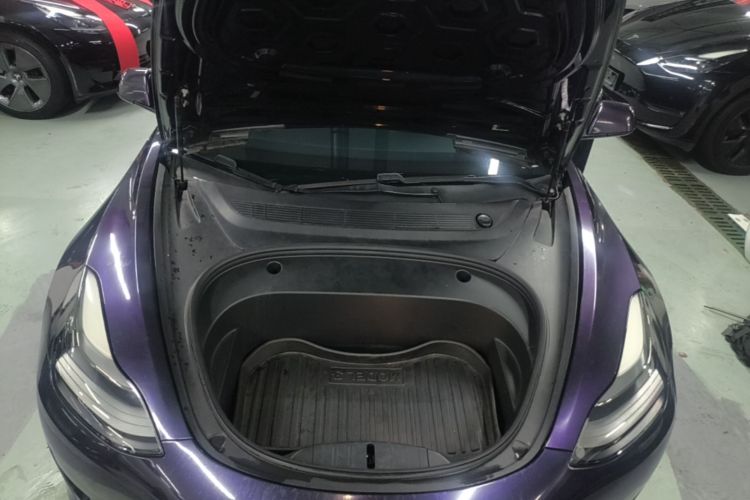 Tesla Model 3 2021 car image #20