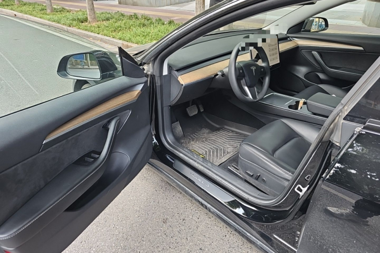 Tesla Model 3 2021 immagine di auto #9