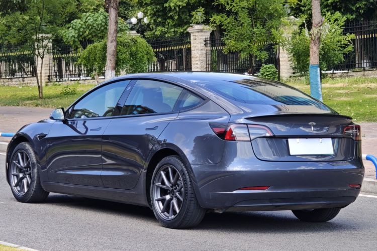 Tesla Model 3 2021 #7 Tesla Model 3 2021 car image #7