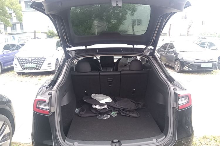 Tesla Model Y 2021 car image #19