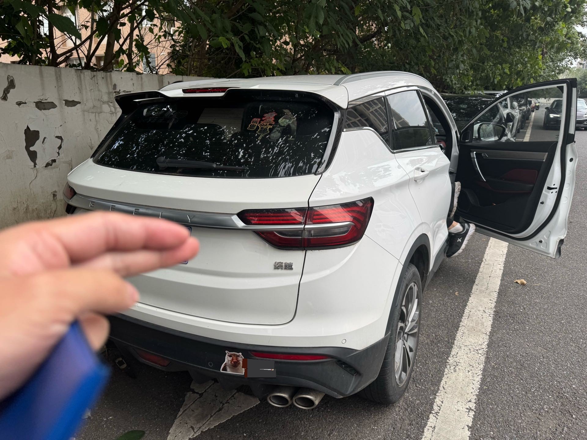 GEELY Coolray 2019 car image #2