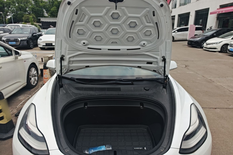 Tesla Model 3 2020 #20 Tesla Model 3 2020 car image #20
