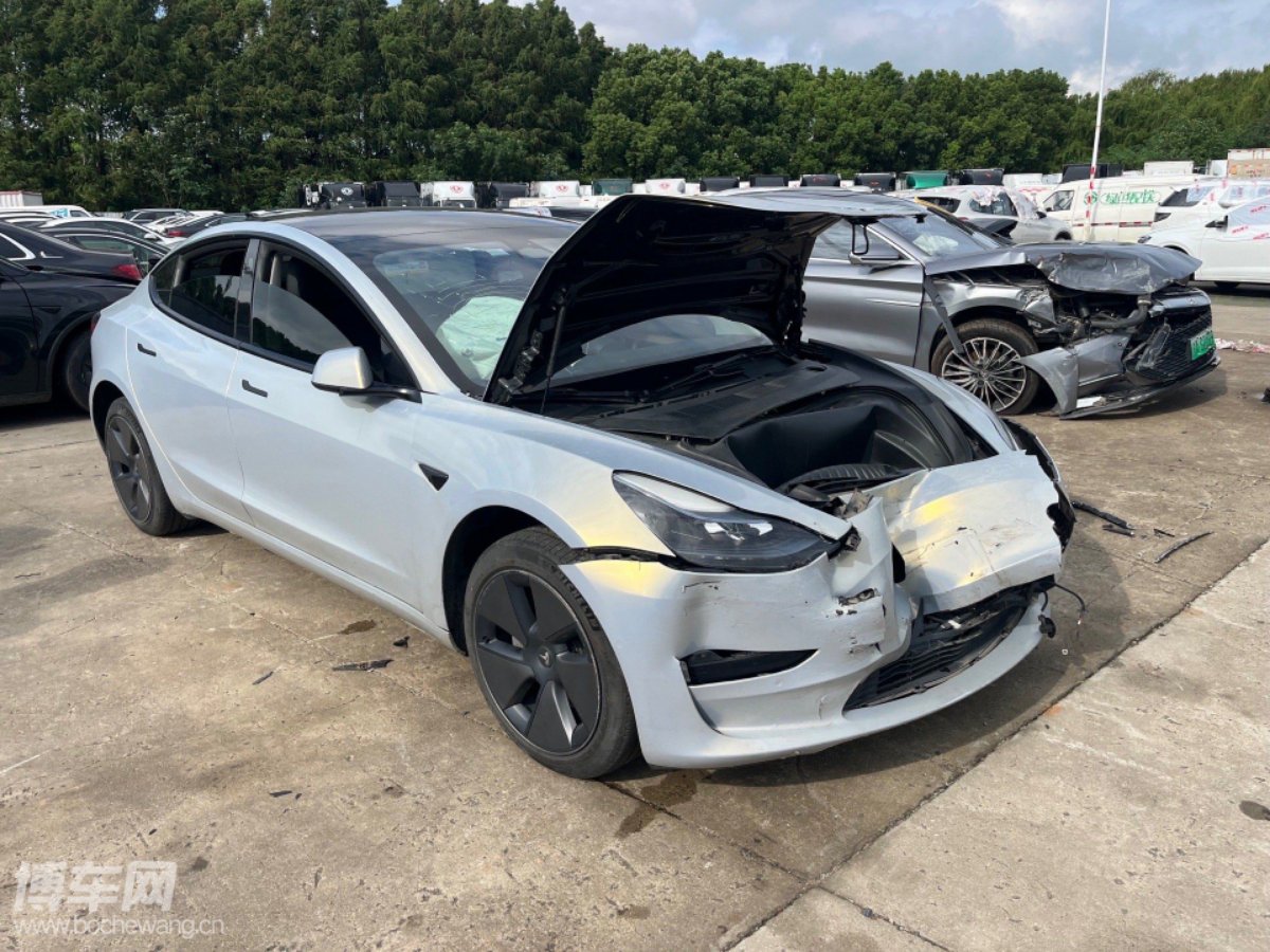 Tesla Model 3 2023 #3 Tesla Model 3 2023 car image #3