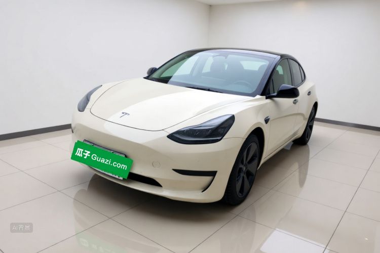 Tesla Model 3 2022 car image #2