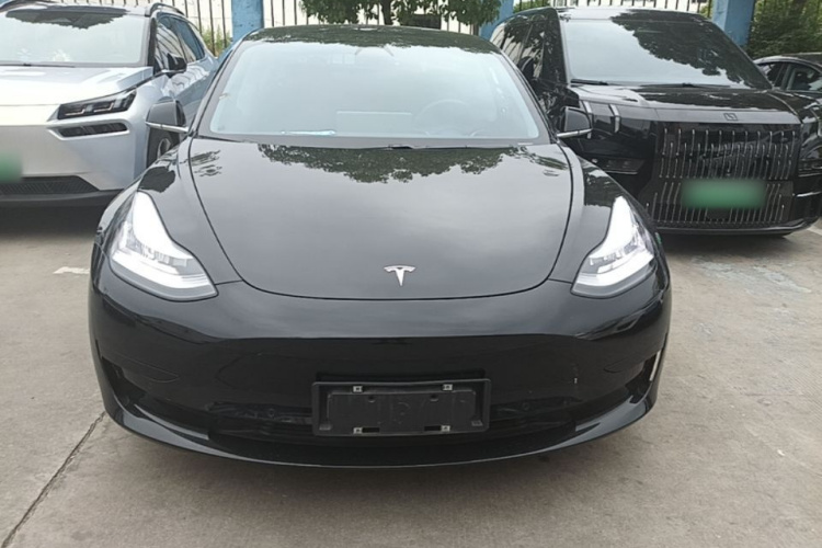 Tesla Model 3 2020 #3 Tesla Model 3 2020 car image #3