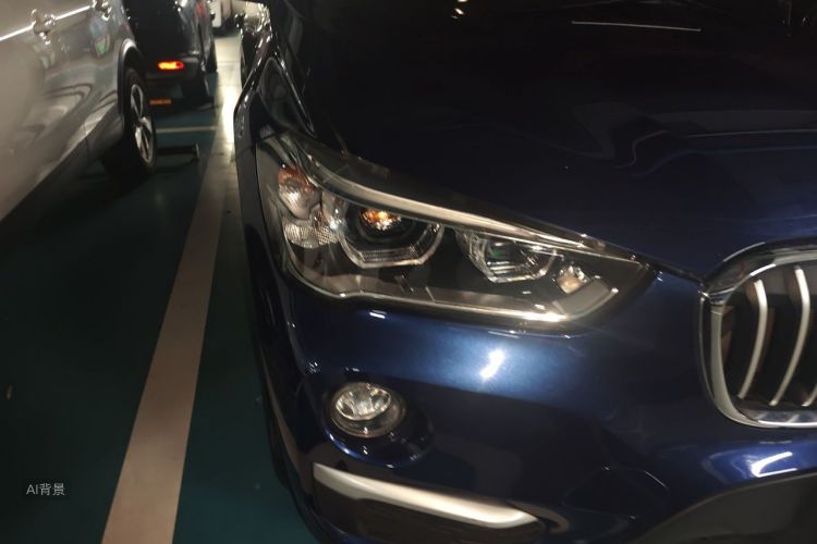 BMW X1 2019 car image #8