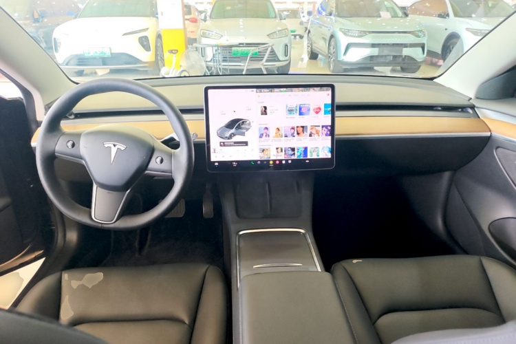 Tesla Model 3 2021 car image #10