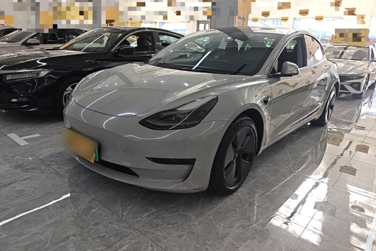 Tesla Model 3 2021 #2 Tesla Model 3 2021 car image #2