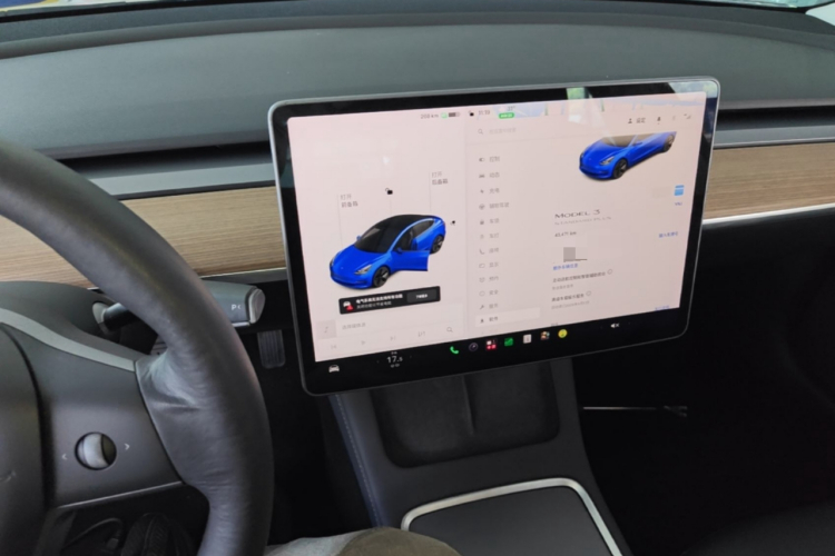 Tesla Model 3 2021 #13 Tesla Model 3 2021 immagine di auto #13