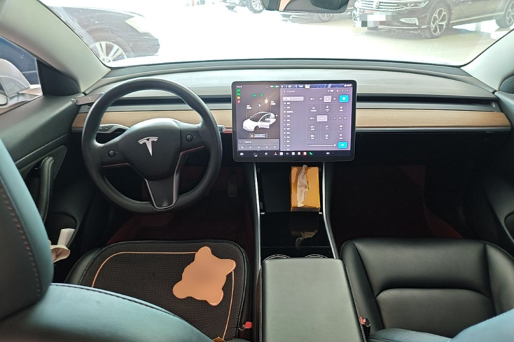 Tesla Model 3 2020 immagine di auto #11