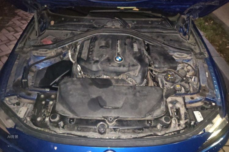 BMW 3 Series 2019 car image #22