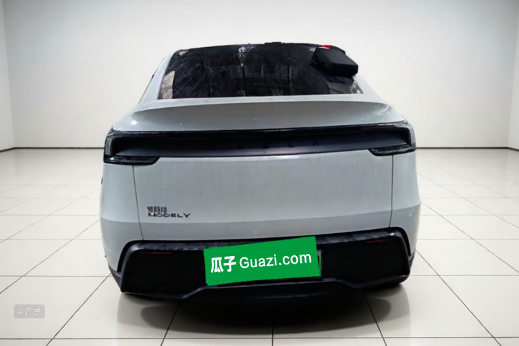 Tesla Model Y 2025 car image #6