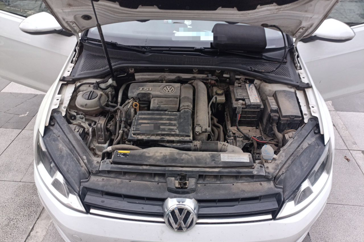 Volkswagen Golf 2016 car image #22