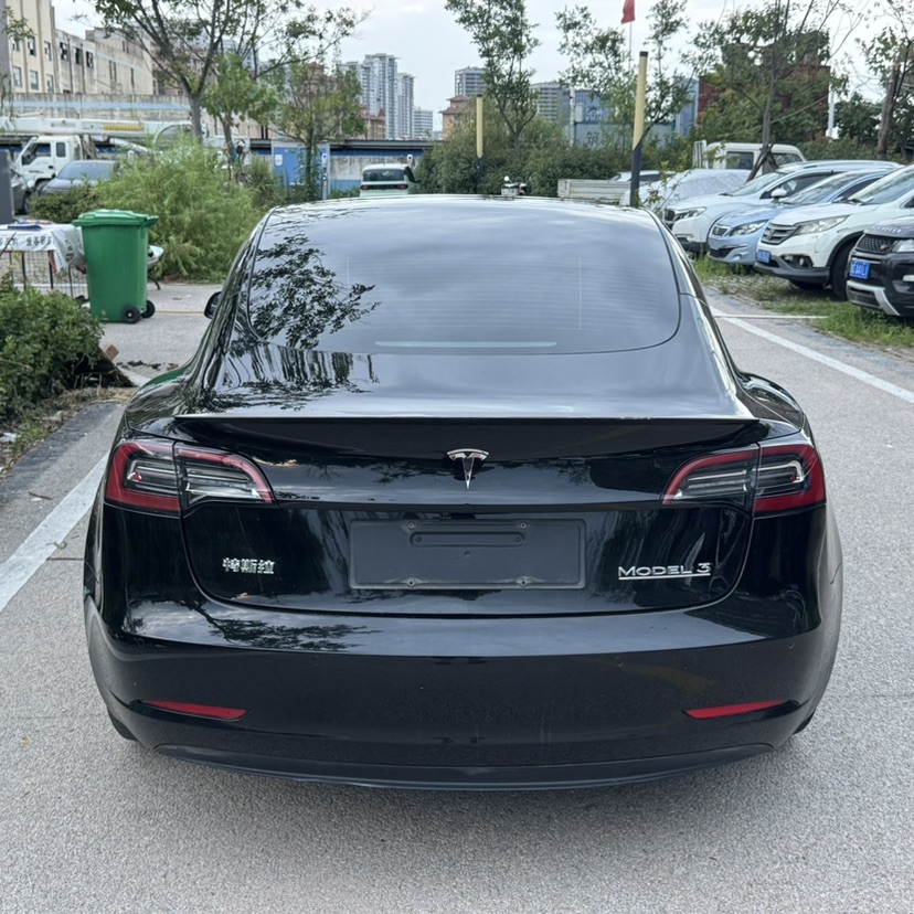 Tesla Model 3 2021 #5 Tesla Model 3 2021 car image #5
