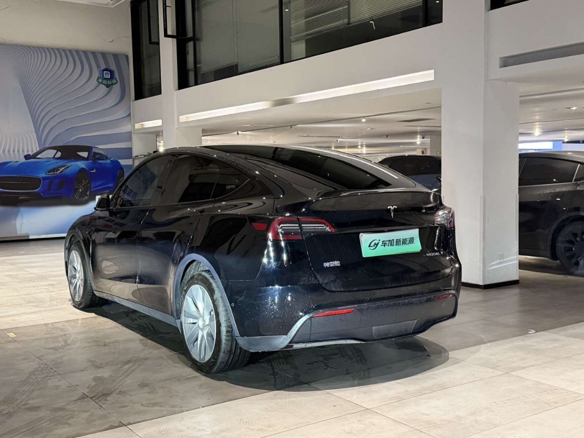 Tesla Model Y 2021 car image #7
