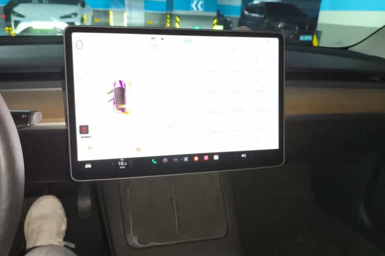 Tesla Model 3 2022 #17 Tesla Model 3 2022 car image #17