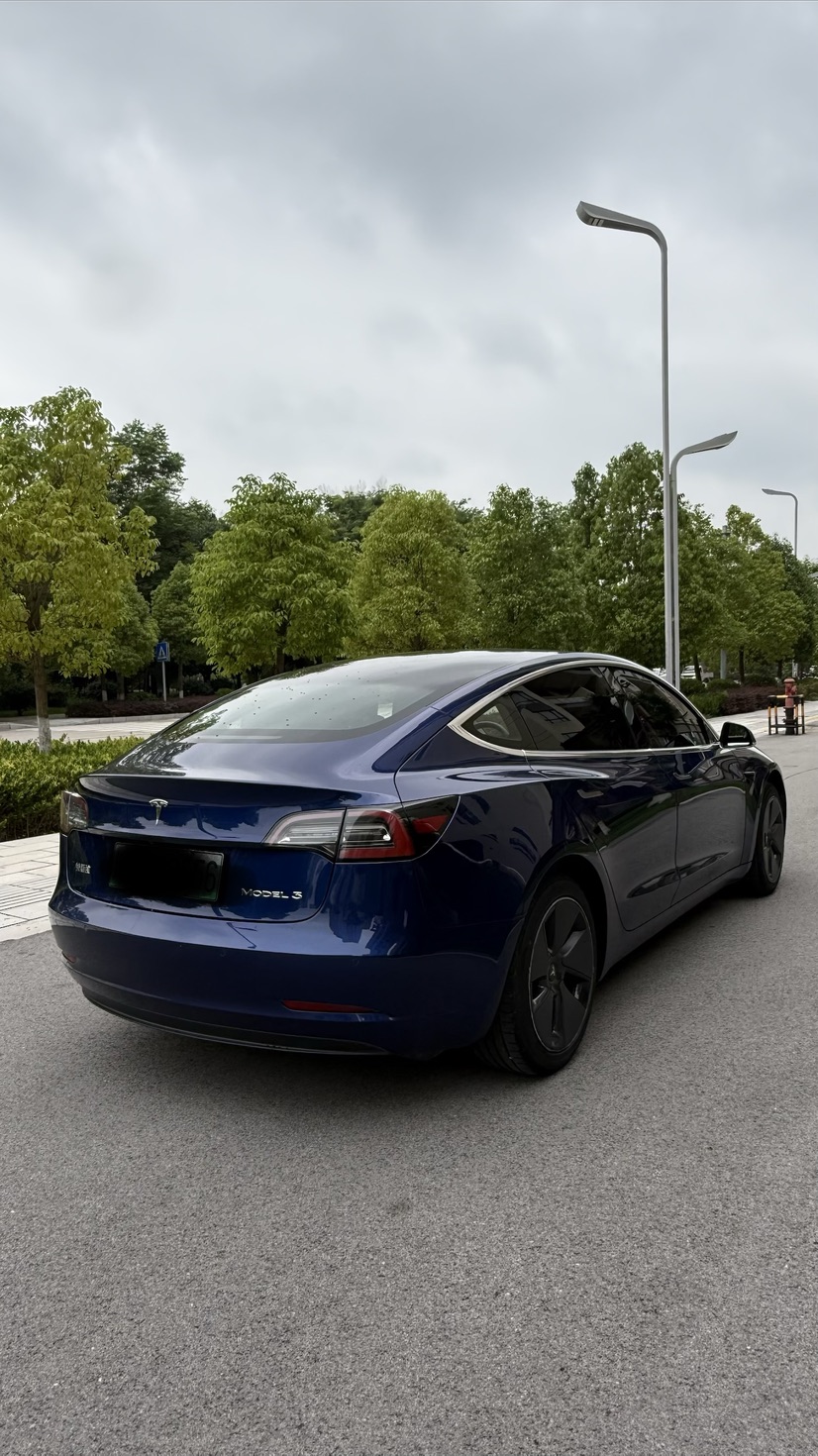 Tesla Model 3 2020 #9 Tesla Model 3 2020 car image #9