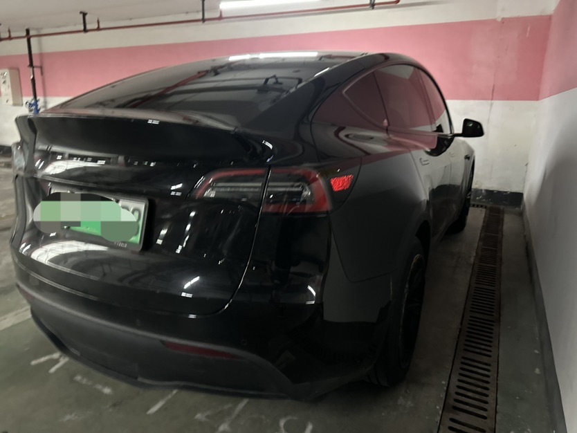 Tesla Model Y 2023 #3 Tesla Model Y 2023 car image #3