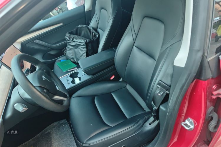 Tesla Model 3 2022 car image #17