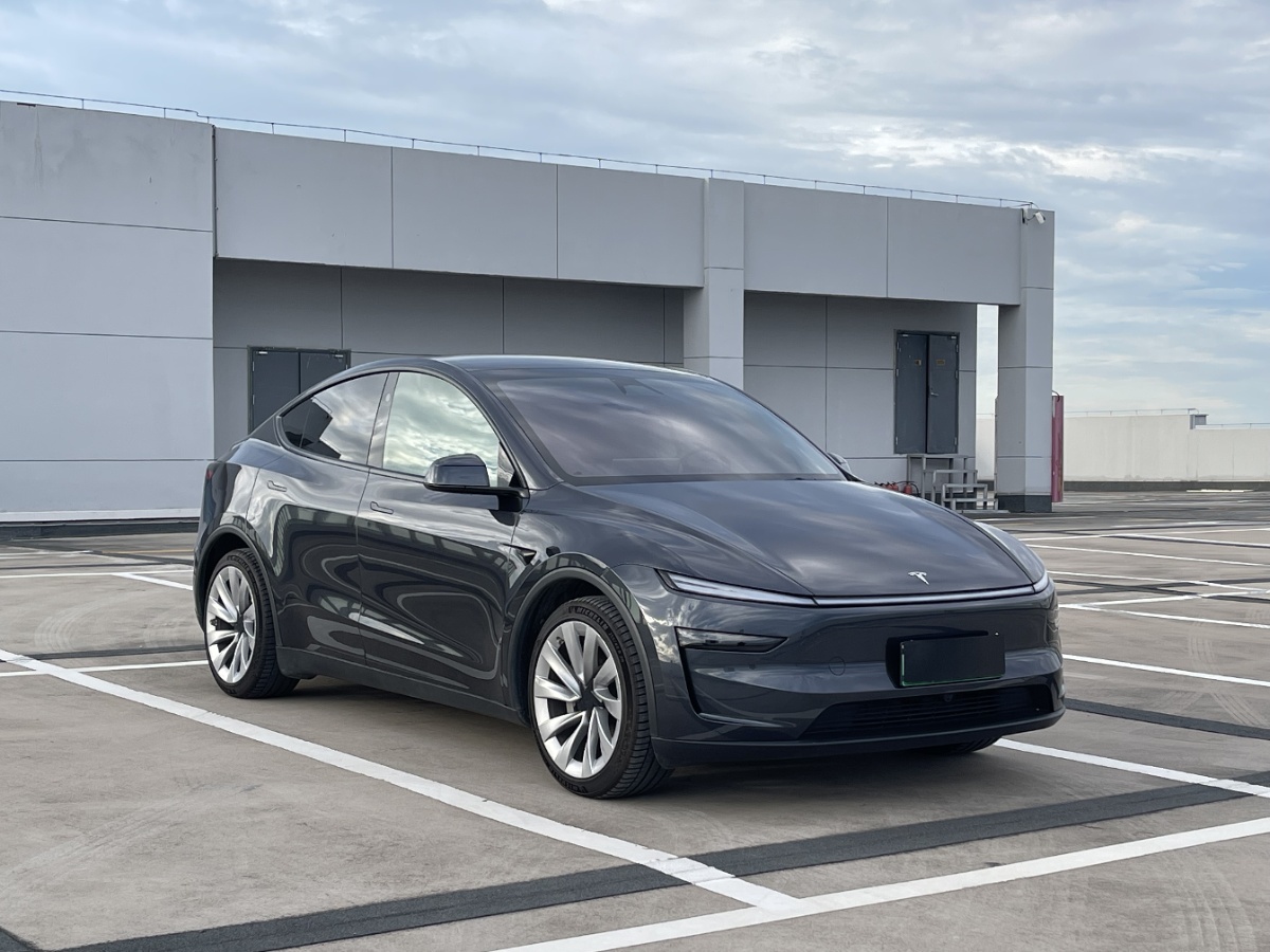 Tesla Model Y 2025 #3 Tesla Model Y 2025 car image #3