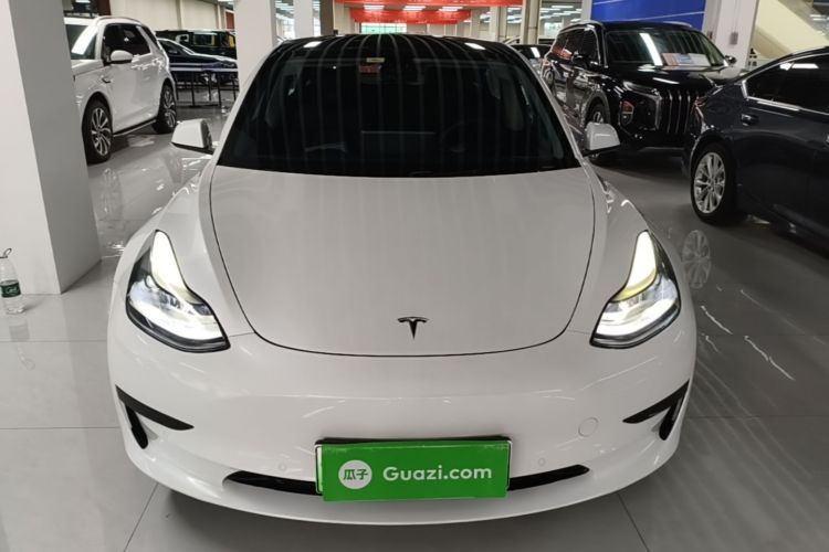 Tesla Model 3 2021 immagine di auto #3
