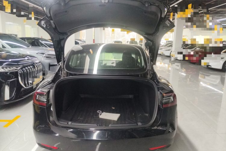 Tesla Model 3 2020 #19 Tesla Model 3 2020 car image #19