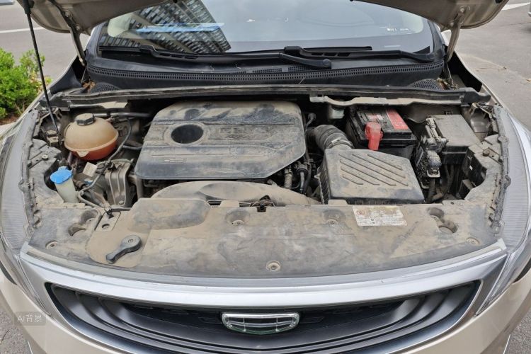 GEELY Emgrand GS 2020 imagem de carro #22