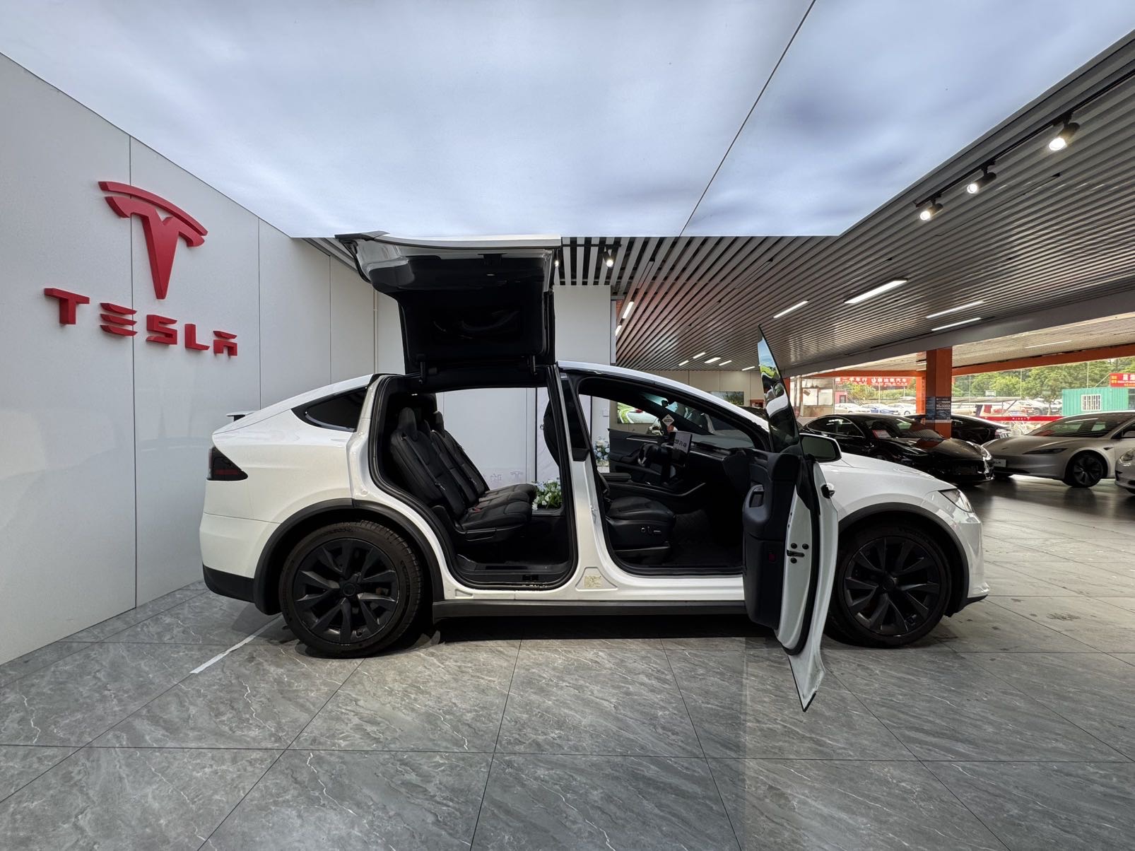 Tesla Model X 2023 car image #7