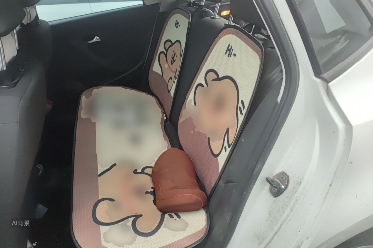 Volkswagen Polo 2017 car image #19