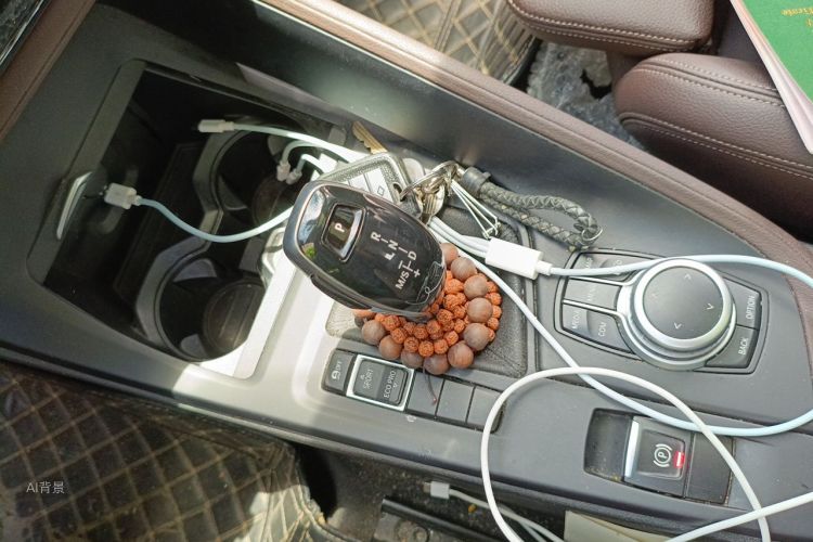 BMW X1 2020 car image #16