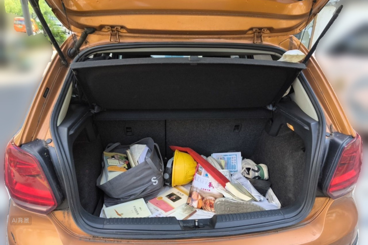 Volkswagen Polo 2014 car image #21