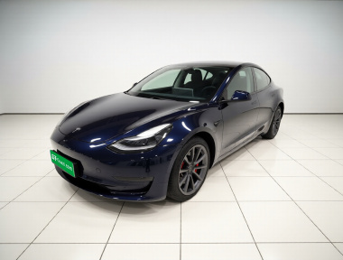 Tesla Model 3 2022 Tesla Model 3 2022 car image