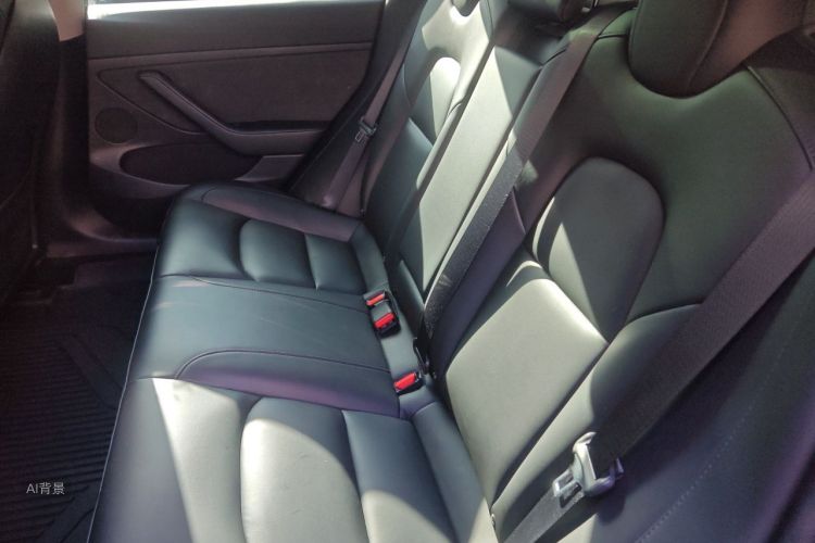 Tesla Model 3 2021 #19 Tesla Model 3 2021 car image #19
