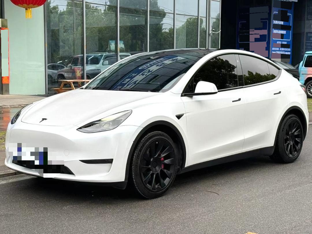 Tesla Model Y 2022 Tesla Model Y 2022 car image