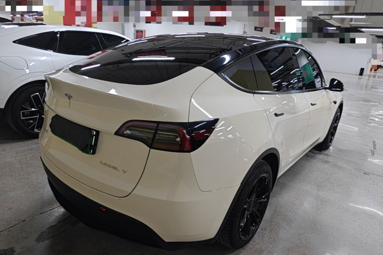 Tesla Model Y 2023 #7 Tesla Model Y 2023 car image #7