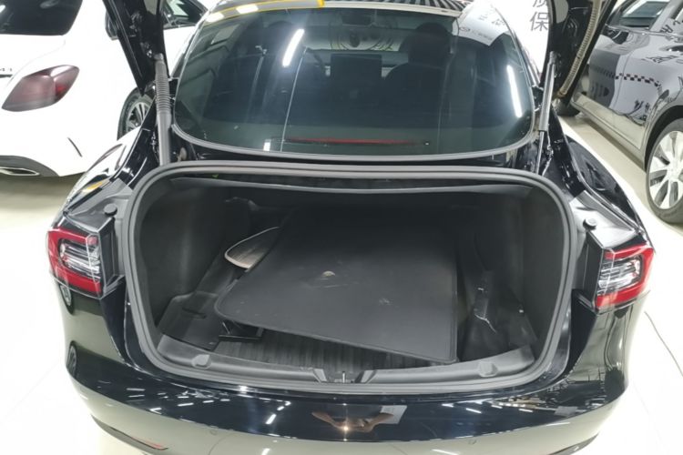 Tesla Model 3 2021 #19 Tesla Model 3 2021 immagine di auto #19