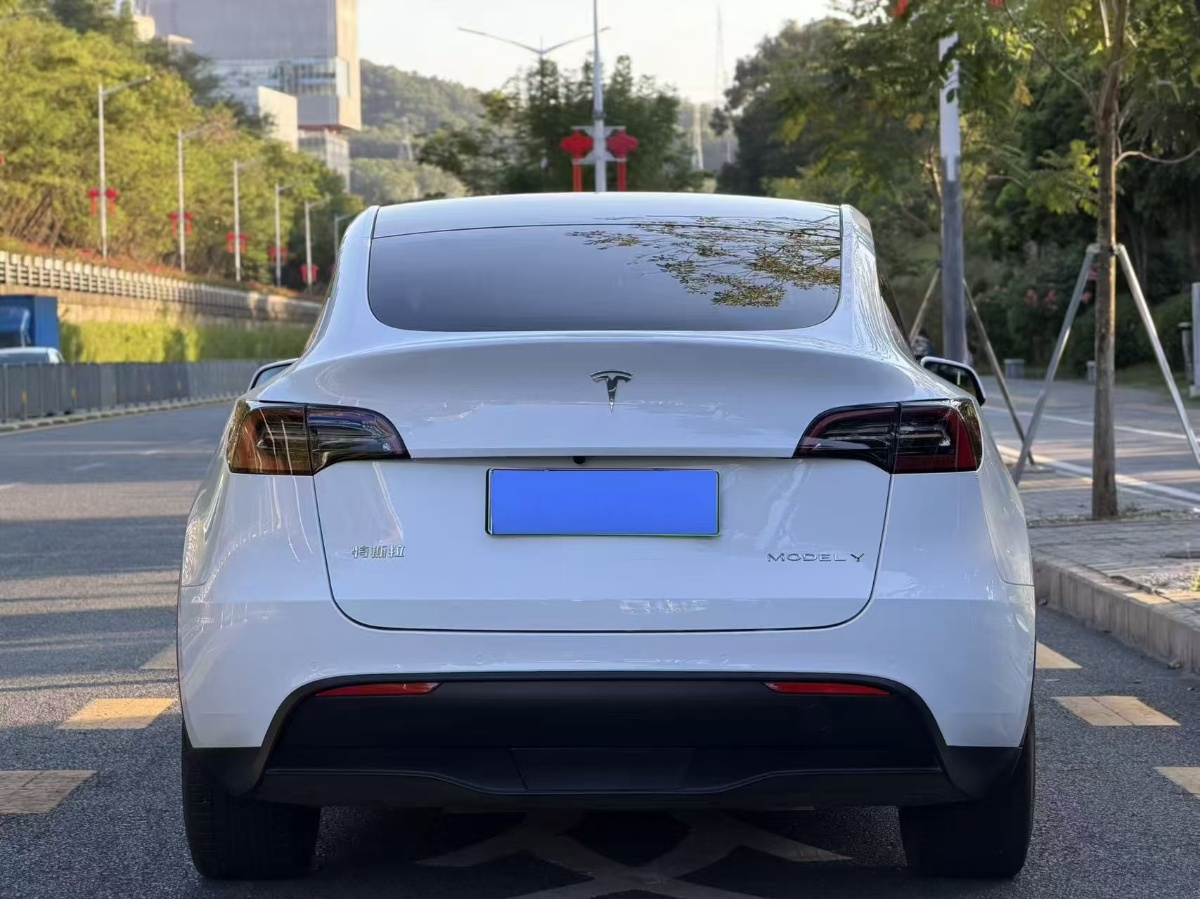 Tesla Model Y 2023 #9 Tesla Model Y 2023 imagem de carro #9