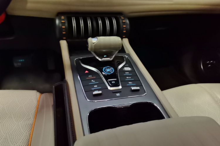 BYD Yuan Plus 2023 car image #14