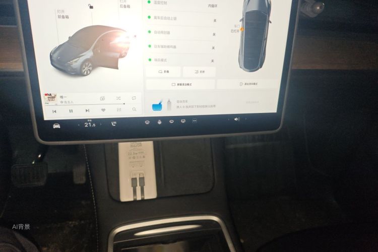 Tesla Model Y 2021 car image #15