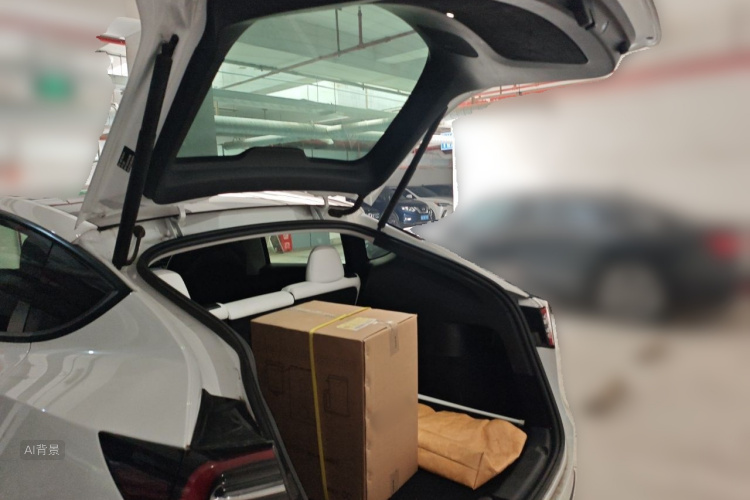 Tesla Model Y 2021 car image #21