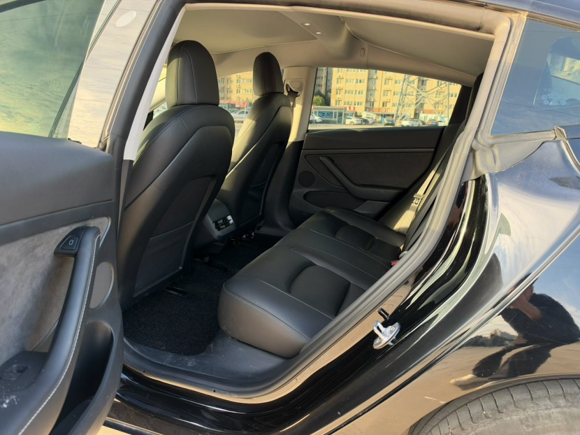 Tesla Model 3 2023 imagem de carro #8