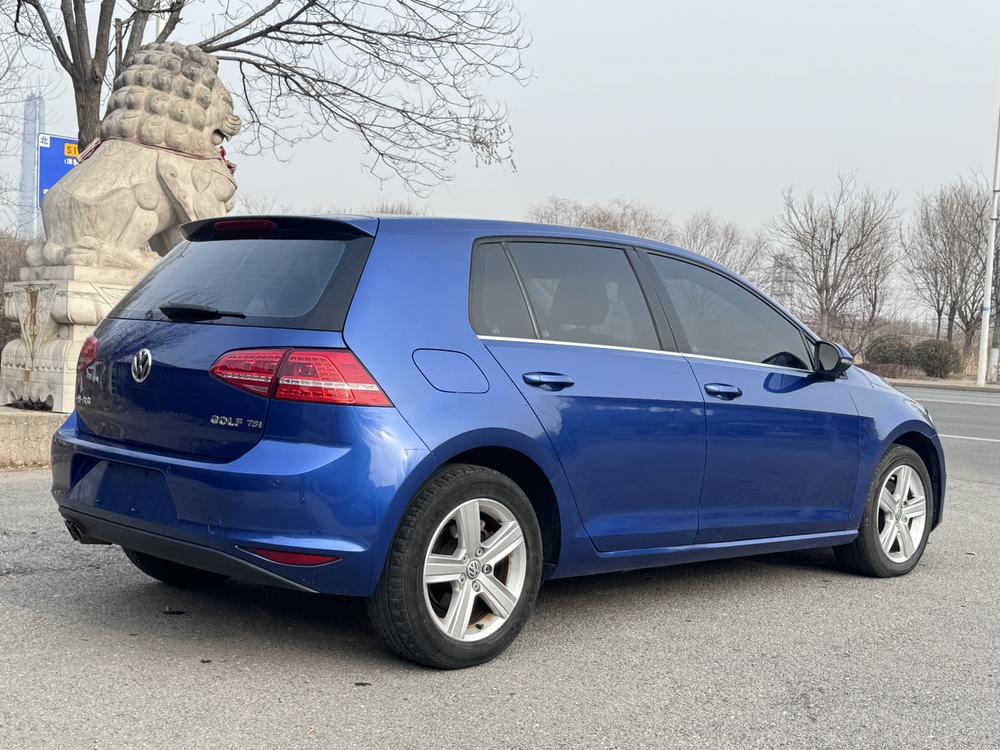 Volkswagen Golf 2014 car image #6