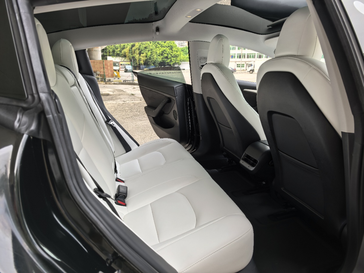 Tesla Model 3 2021 car image #8