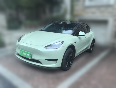 Tesla Model Y 2023 Tesla Model Y 2023 car image